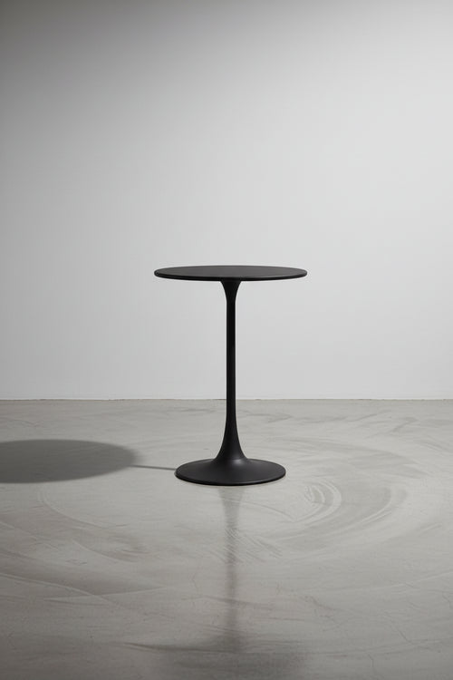 Table de bistrot 24, hauteur comptoir, résistante aux intempéries, intérieur/extérieur